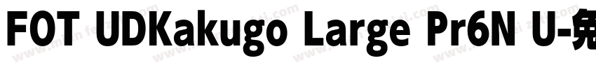 FOT UDKakugo Large Pr6N U字体转换